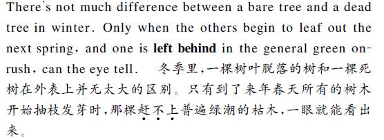 中英文翻譯內容圖片
